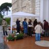 2008 bancarella (17)